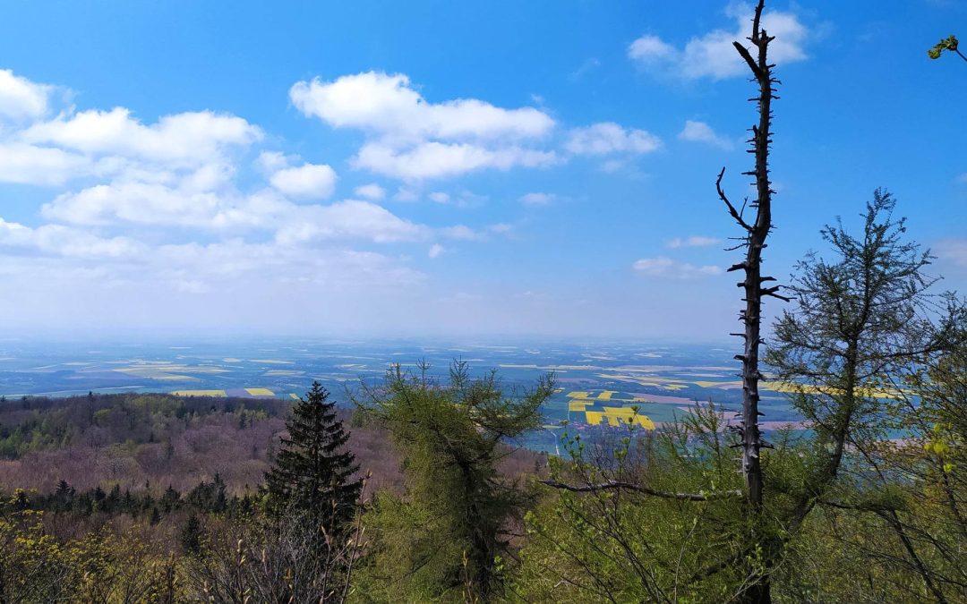 Wycieczka piątej klasy na Ślężę