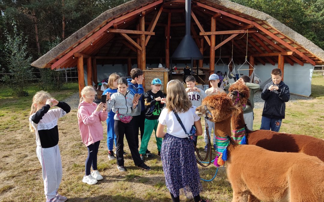 Czwartoklasiści w krainie alpak