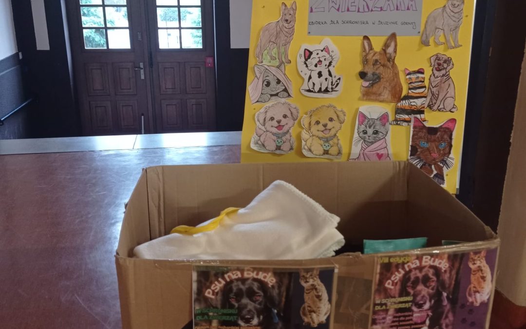 Akcja charytatywna dla schroniska dla zwierząt