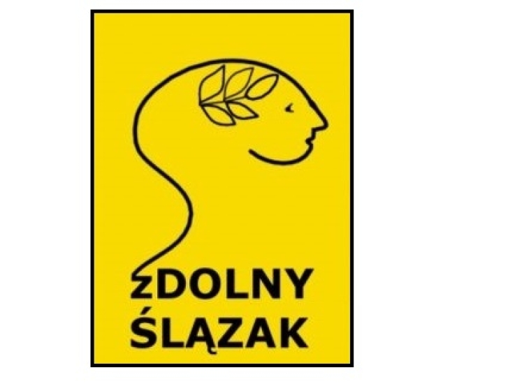 zDolny Ślązak – kwalifikacje do finału