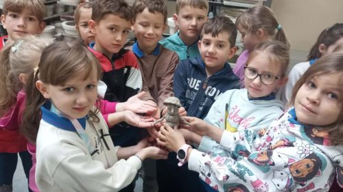 78139f11-9217-44fb-a762-7924498e9073