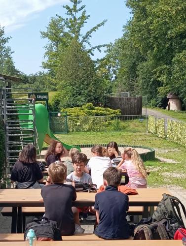 IMG-20240610-WA0020[1]