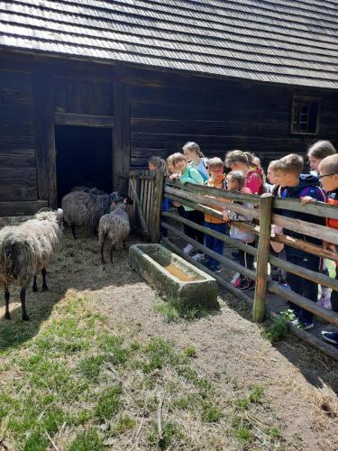 WhatsApp Image 2022-06-03 at 21.37.44